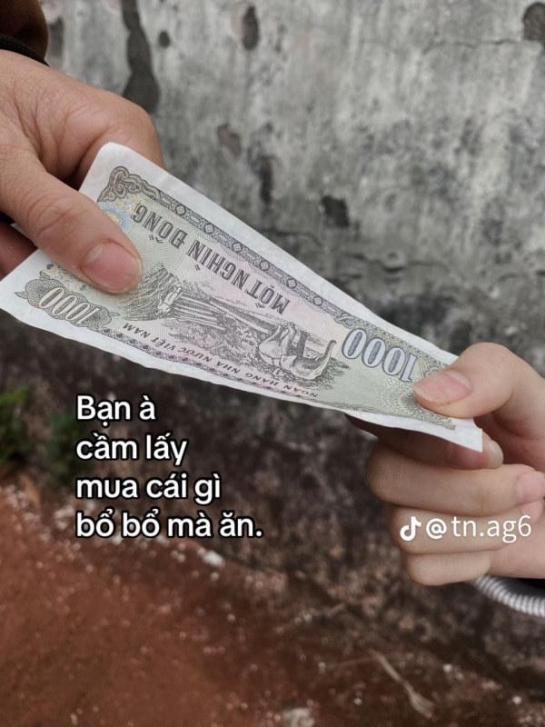 Hình 2